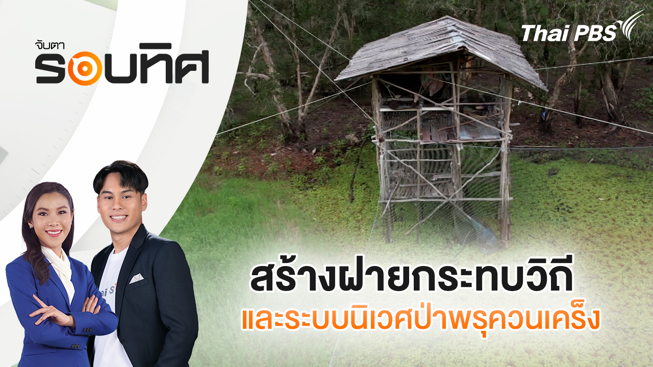 สร้างฝายกระทบวิถีและระบบนิเวศป่าพรุควนเคร็ง | จับตารอบทิศ | 2 ต.ค. 68