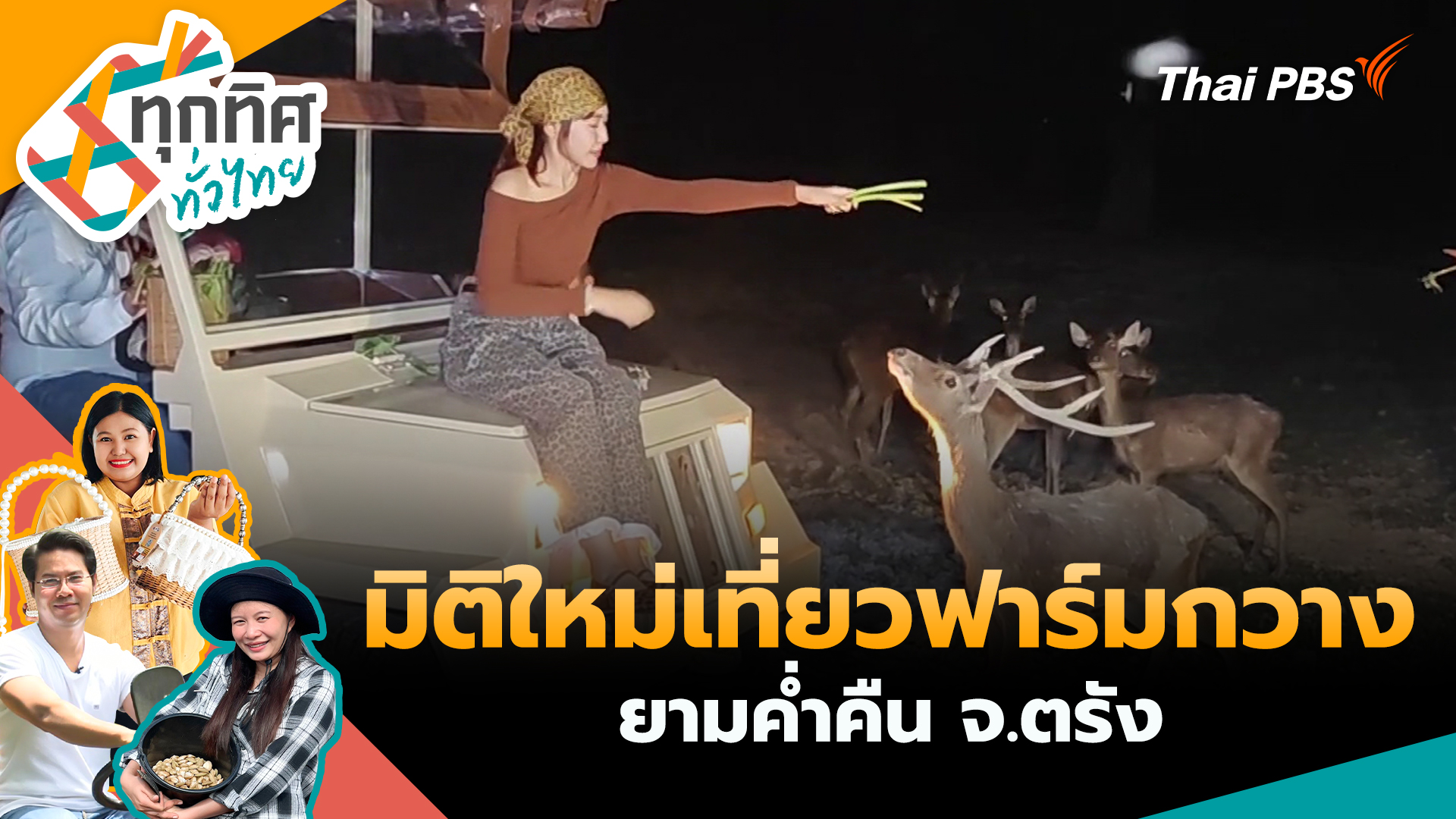 มิติใหม่เที่ยวฟาร์มกวางยามค่ำคืน จ.ตรัง