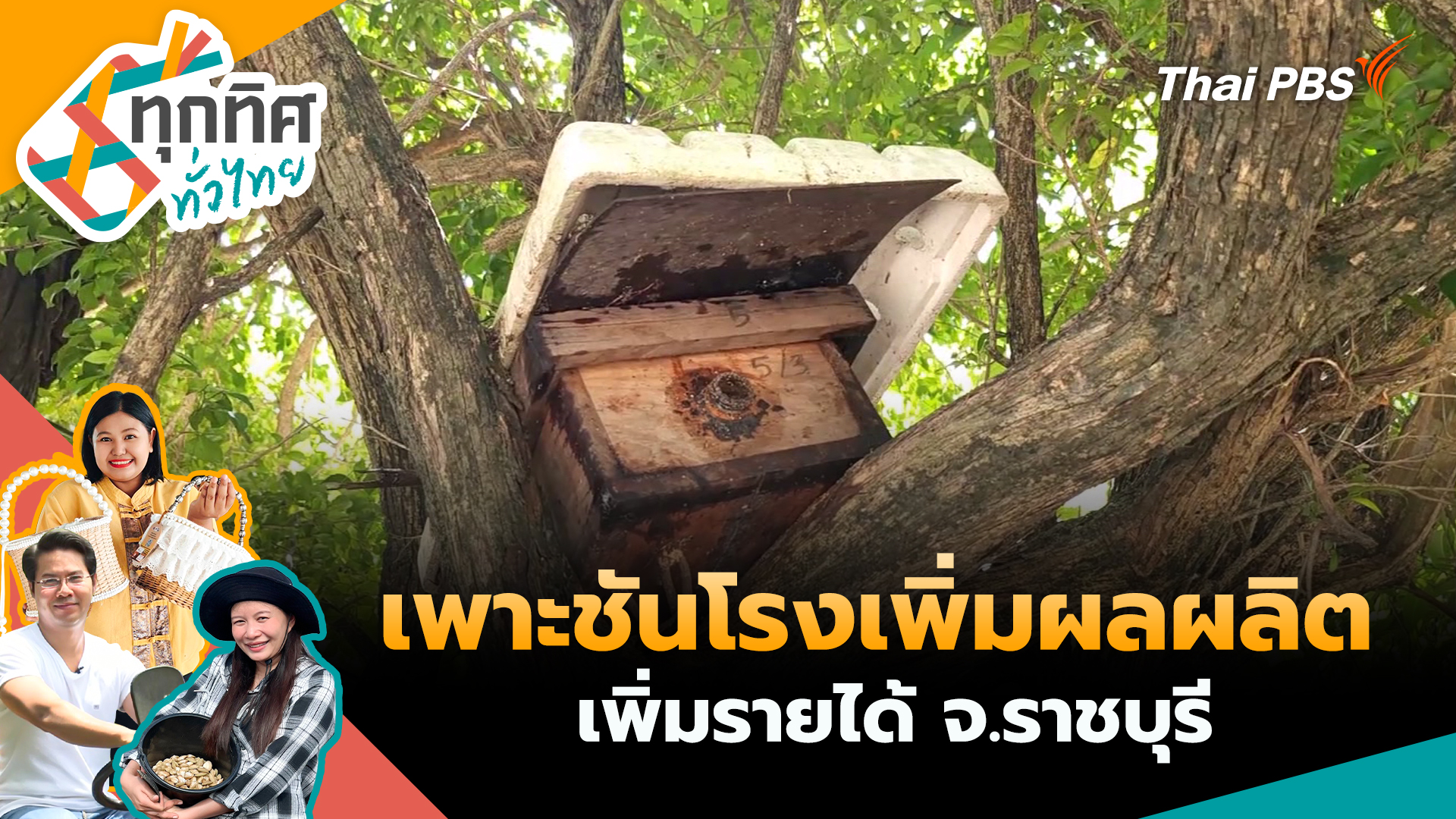 เพาะชันโรงเพิ่มผลผลิตเพิ่มรายได้ จ.ราชบุรี
