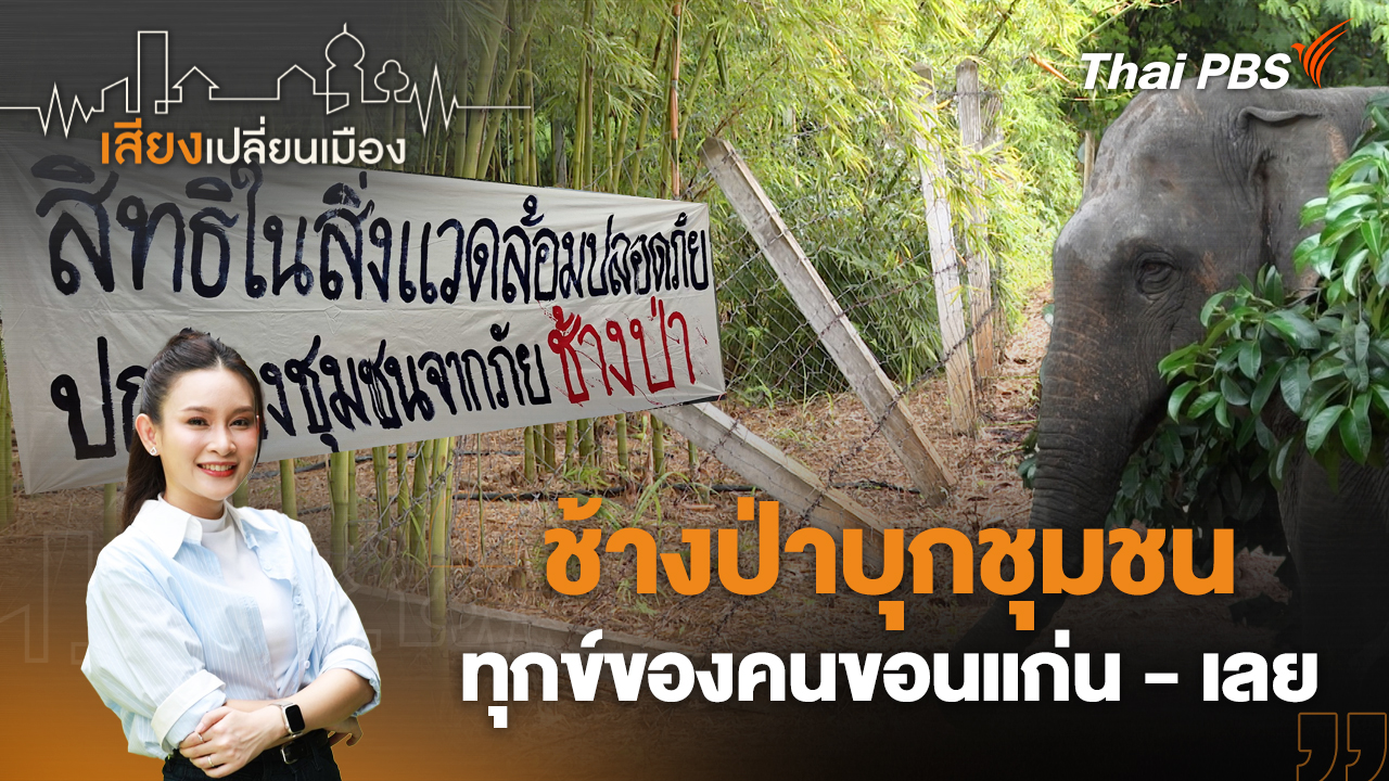 ช้างป่าบุกชุมชน ทุกข์ของคนขอนแก่น - เลย