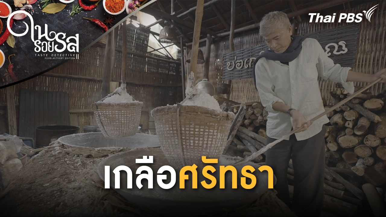 เกลือศรัทธา