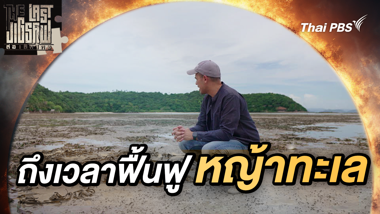 ถึงเวลาฟื้นฟู หญ้าทะเล | The last jigsaw ต่อเติมไทย