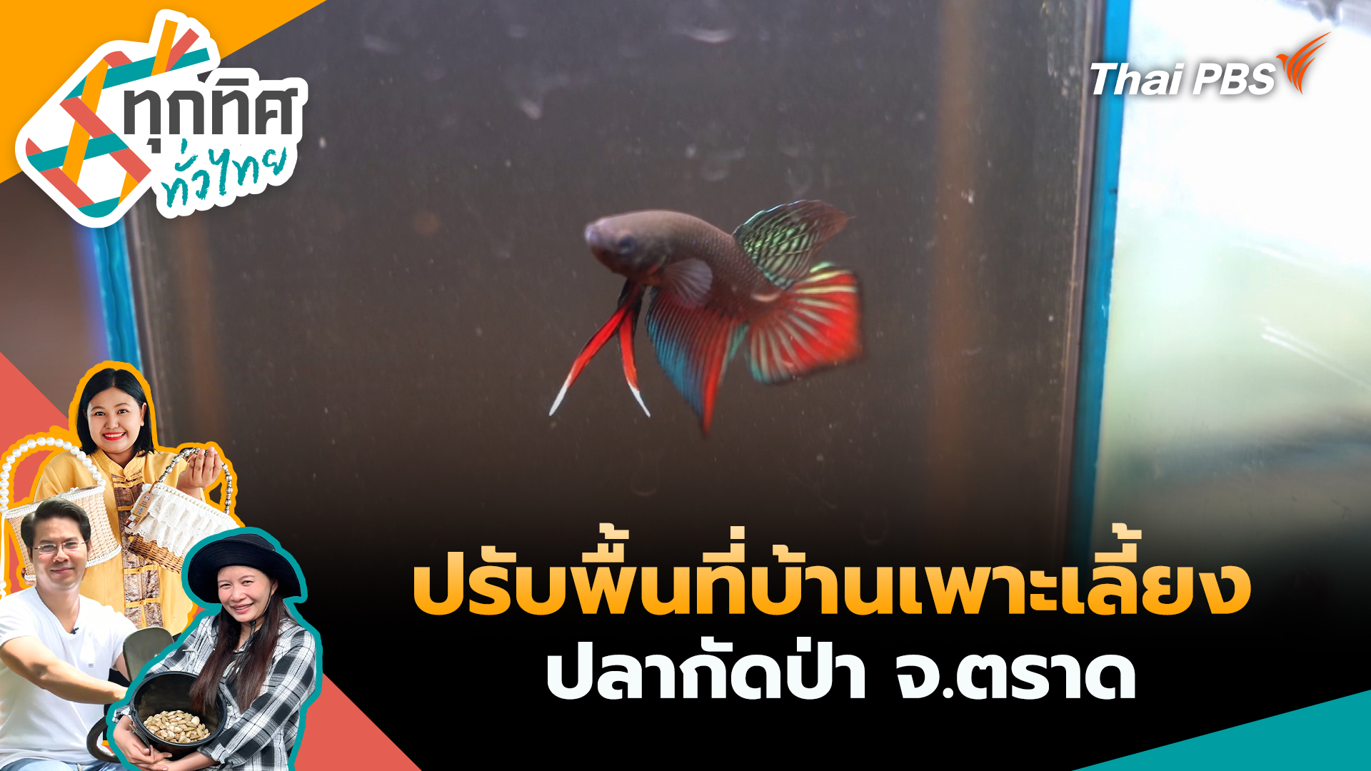 ปรับพื้นที่บ้านเพาะเลี้ยงปลากัดป่า จ.ตราด
