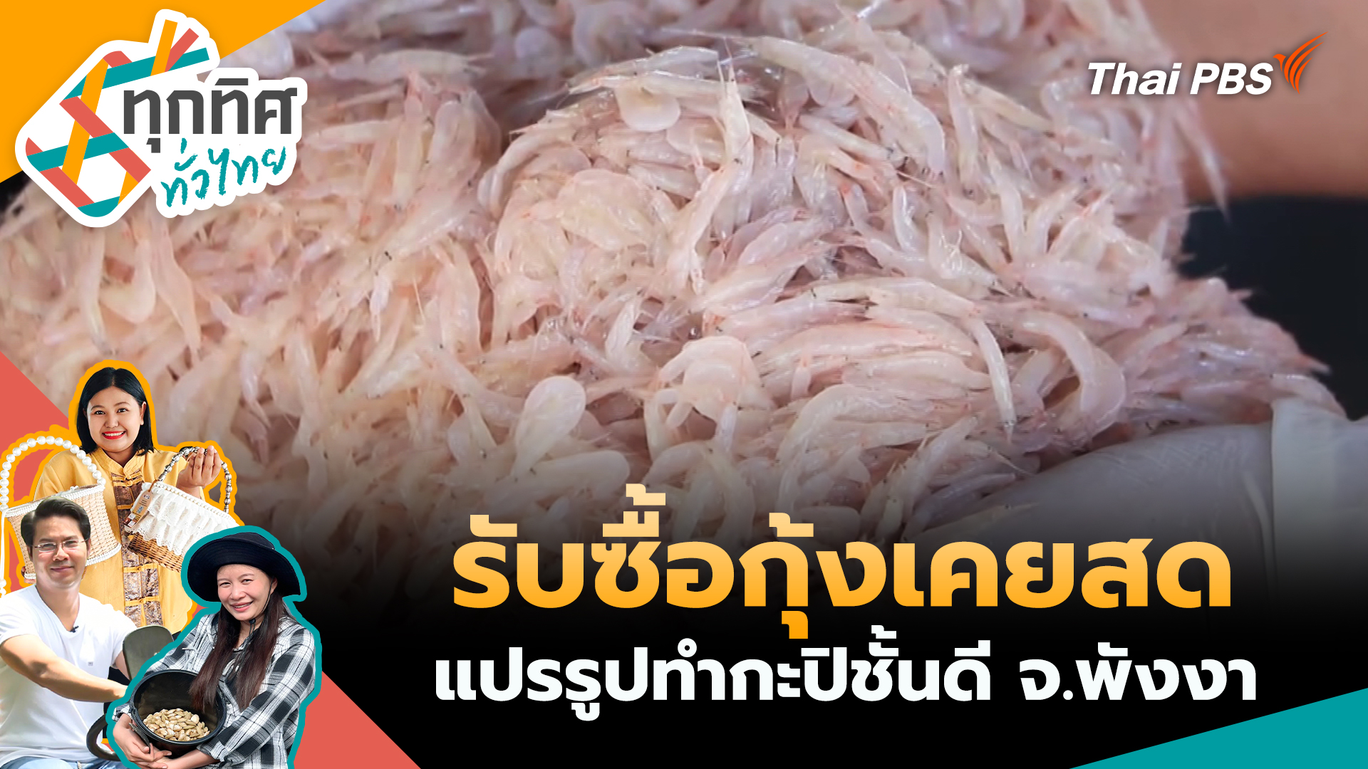 รับซื้อกุ้งเคยสดแปรรูปทำกะปิชั้นดี จ.พังงา