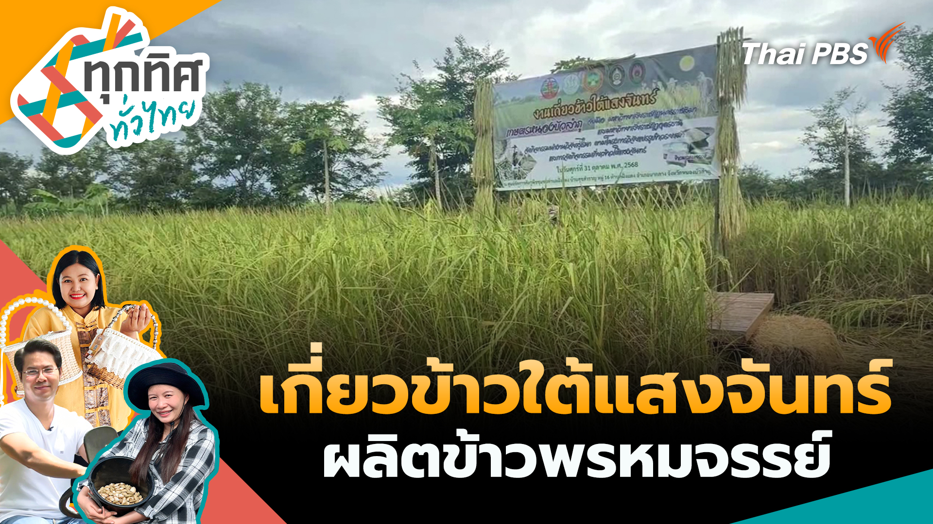 เกี่ยวข้าวใต้แสงจันทร์ผลิตข้าวพรหมจรรย์