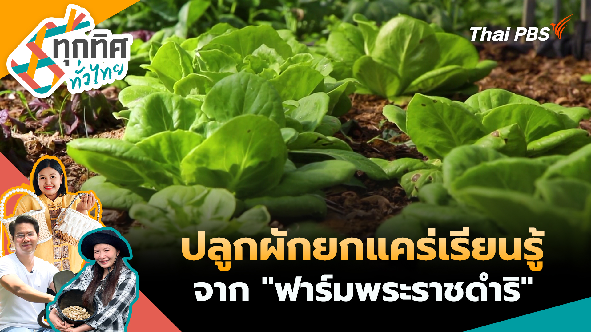 ปลูกผักยกแคร่เรียนรู้จาก "ฟาร์มพระราชดำริ"