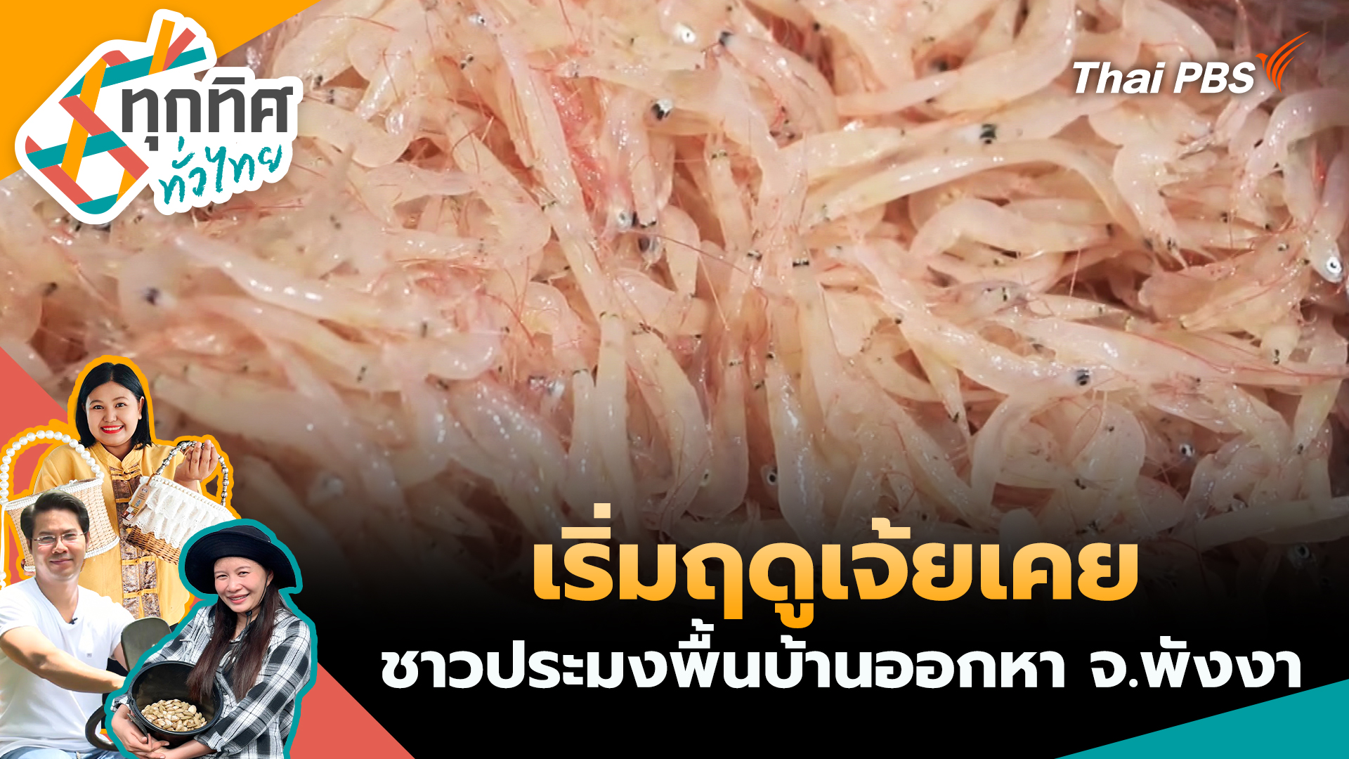 เริ่มฤดูเจ้ยเคยชาวประมงพื้นบ้านออกหา จ.พังงา