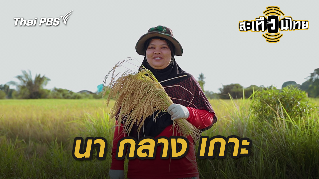 นา กลาง เกาะ