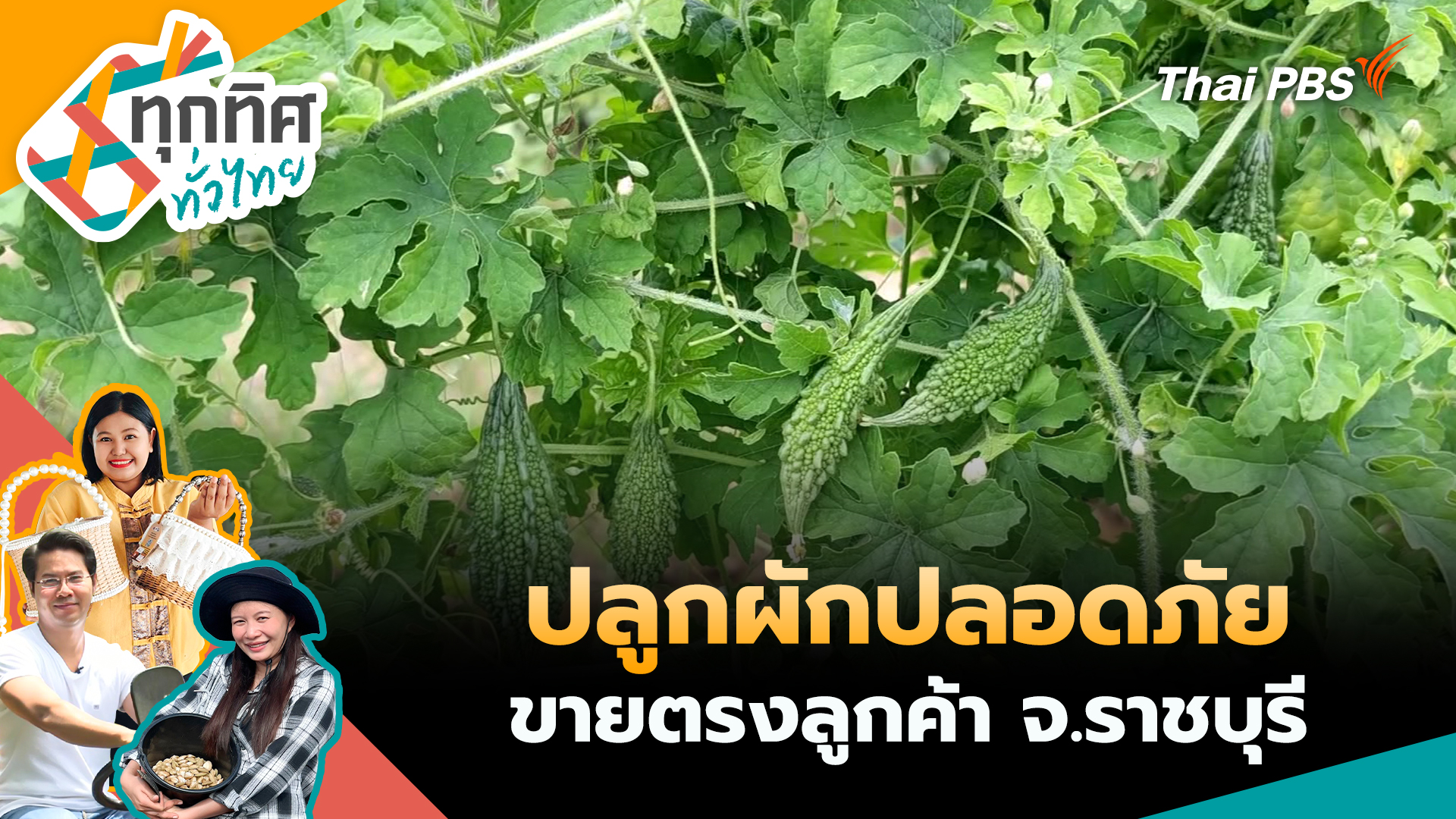 ปลูกผักปลอดภัยขายตรงลูกค้า จ.ราชบุรี