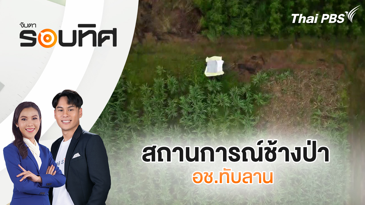 สถานการณ์ช้างป่า อช.ทับลาน | จับตารอบทิศ | 4 พ.ย. 68