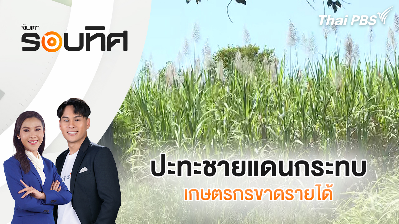 ปะทะชายแดนกระทบเกษตรกรขาดรายได้ | จับตารอบทิศ | 24 ธ.ค. 68