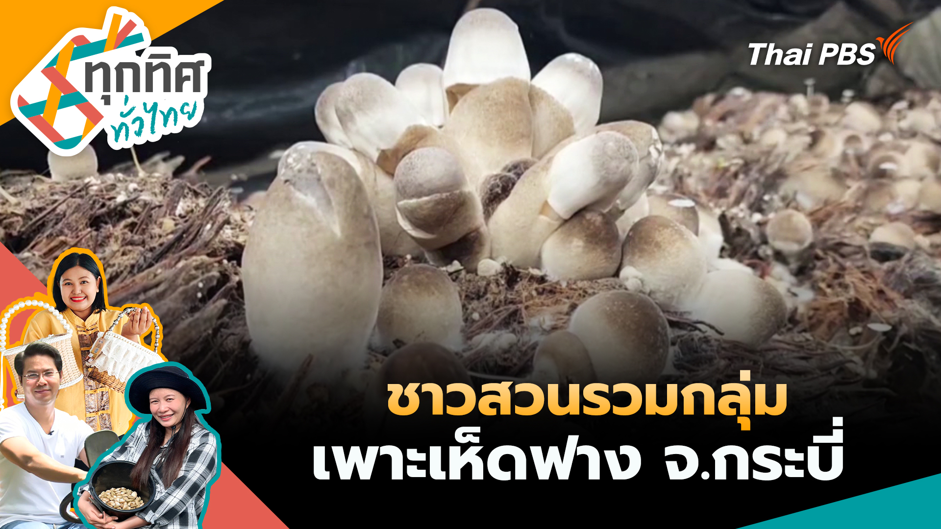 ชาวสวนรวมกลุ่มเพาะเห็ดฟาง จ.กระบี่