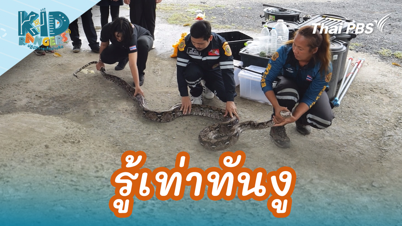 รู้เท่าทันงู 