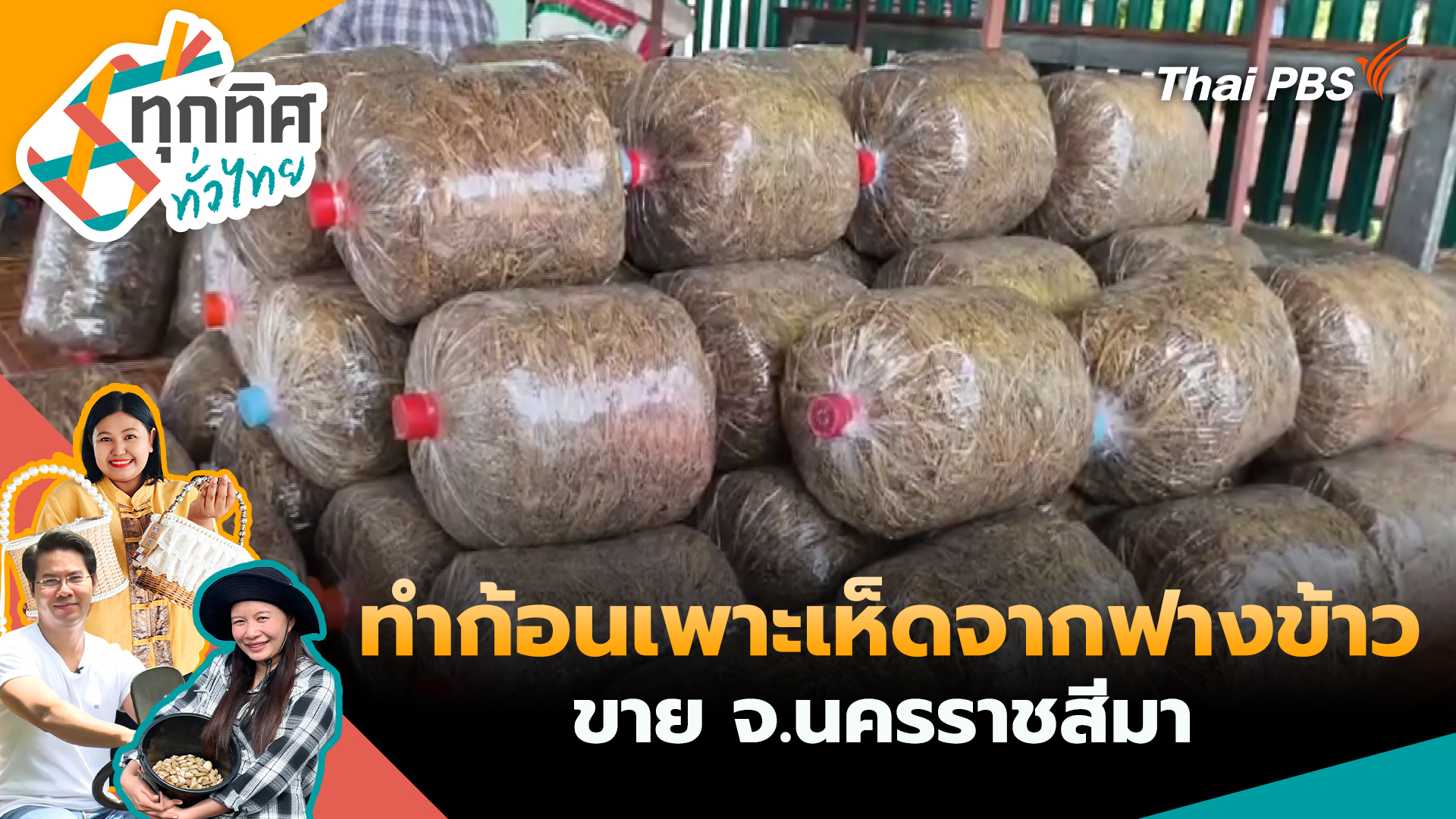 ทำก้อนเพาะเห็ดจากฟางข้าวขาย จ.นครราชสีมา