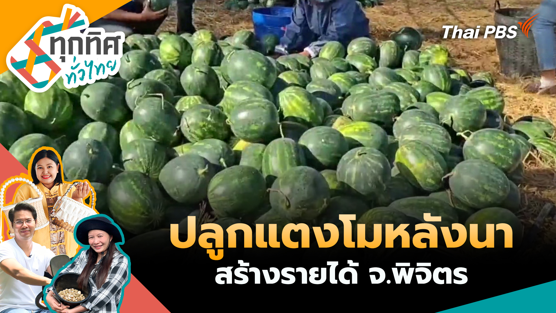 ปลูกแตงโมหลังนาสร้างรายได้ จ.พิจิตร