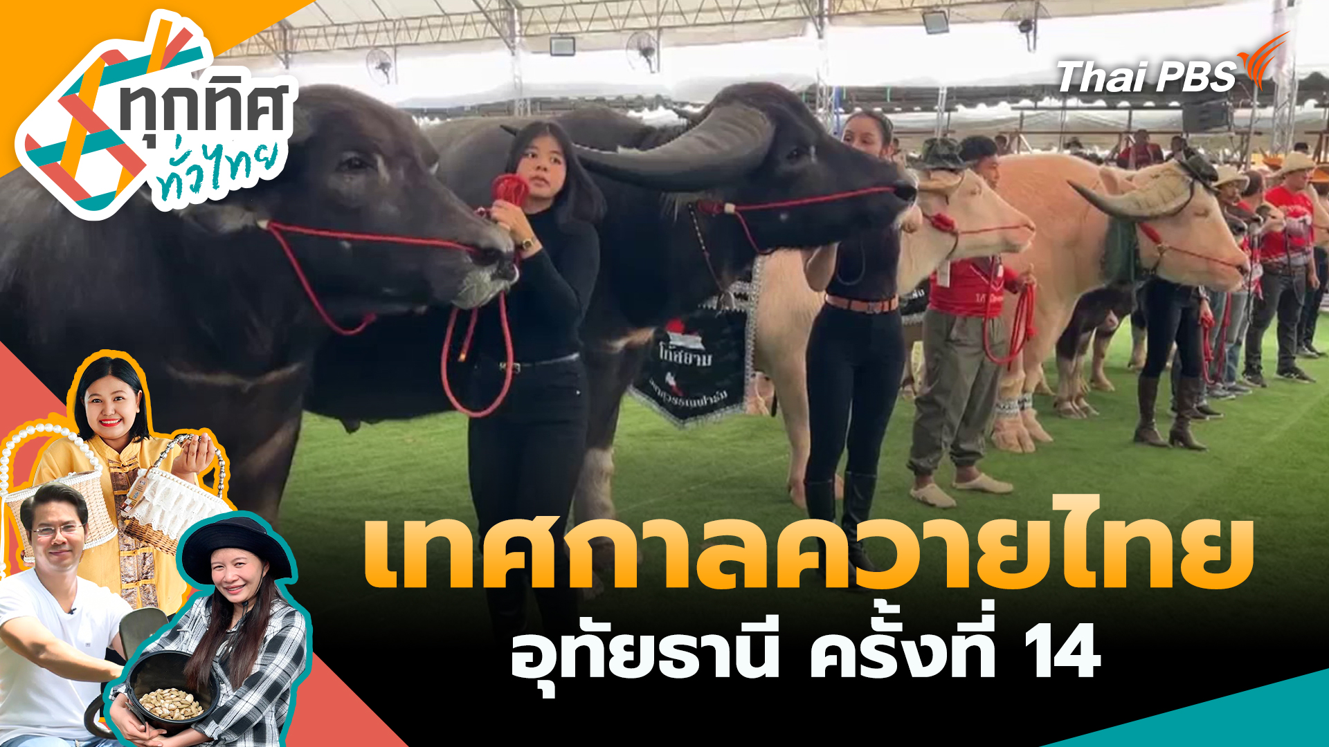 เทศกาลควายไทยอุทัยธานี ครั้งที่ 14