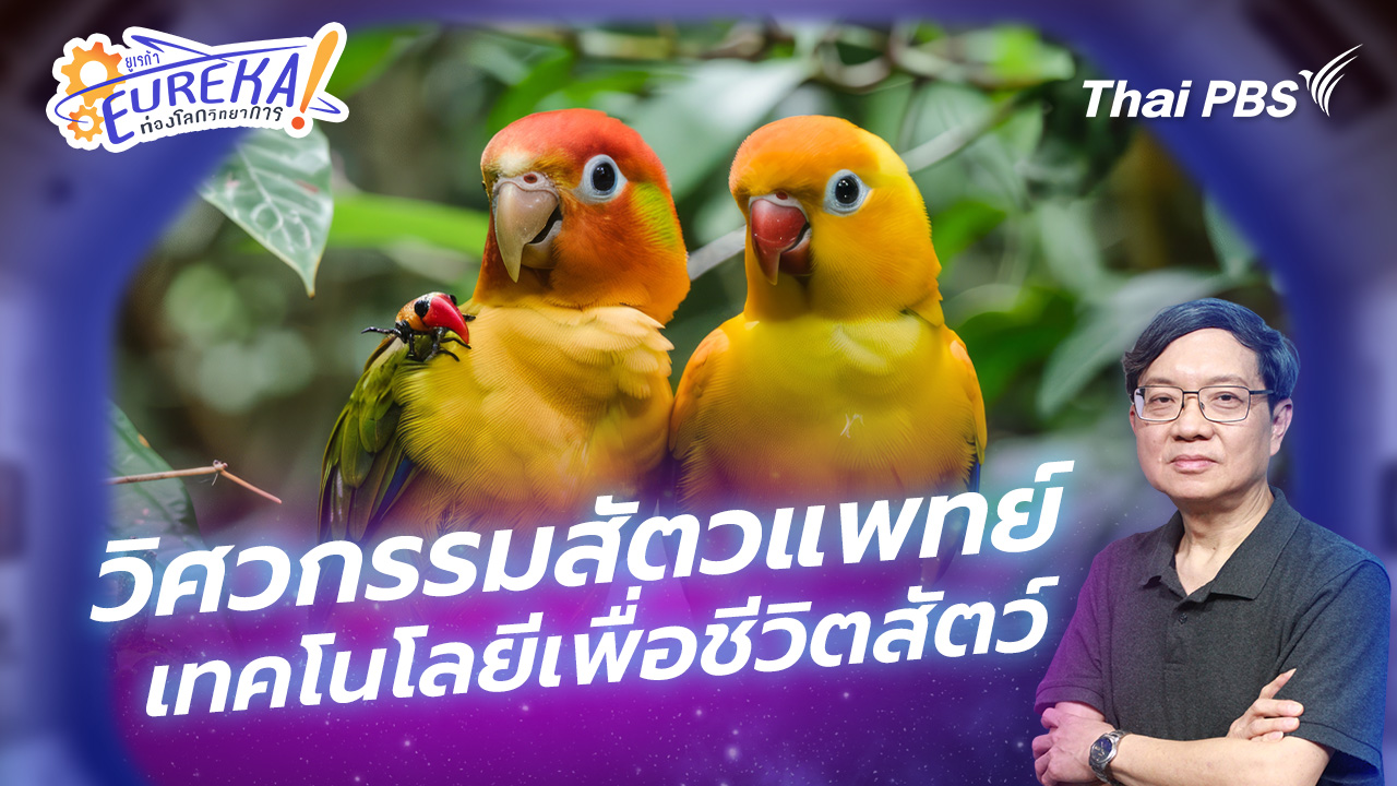 วิศวกรรมสัตวแพทย์ เทคโนโลยีเพื่อชีวิตสัตว์