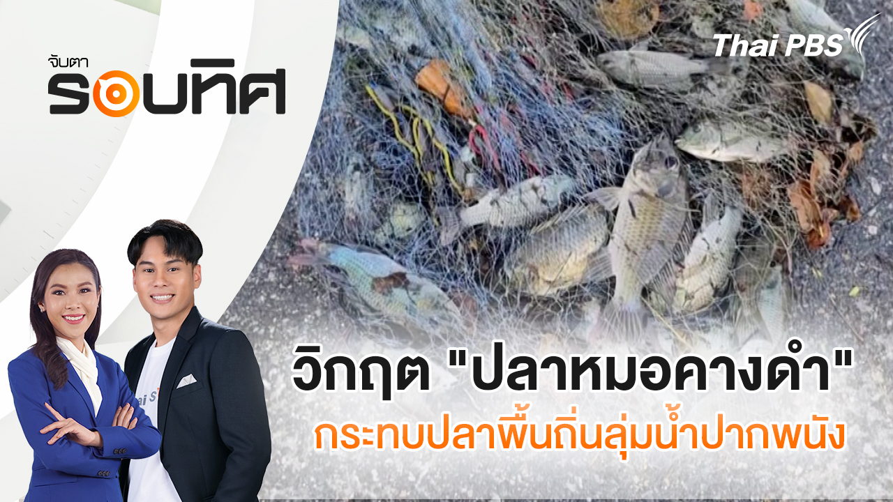 วิกฤต "ปลาหมอคางดำ" กระทบปลาพื้นถิ่นลุ่มน้ำปากพนัง | จับตารอบทิศ | 18 ก.พ. 69