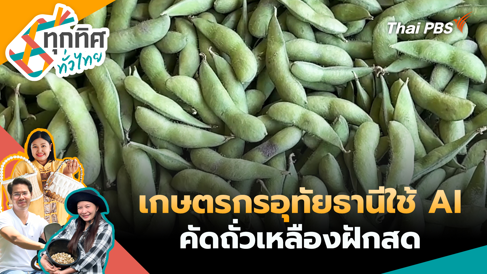 เกษตรกรอุทัยธานีใช้ AI คัดถั่วเหลืองฝักสด