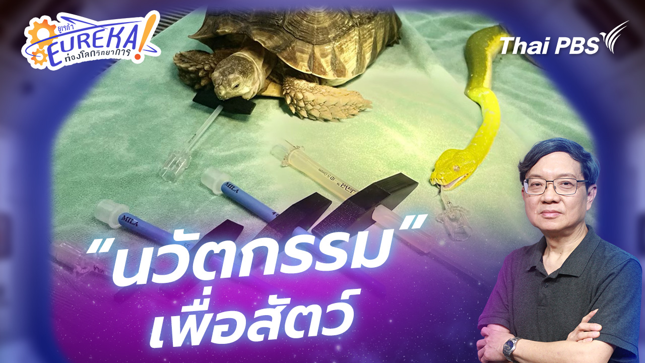 “นวัตกรรม” เพื่อสัตว์