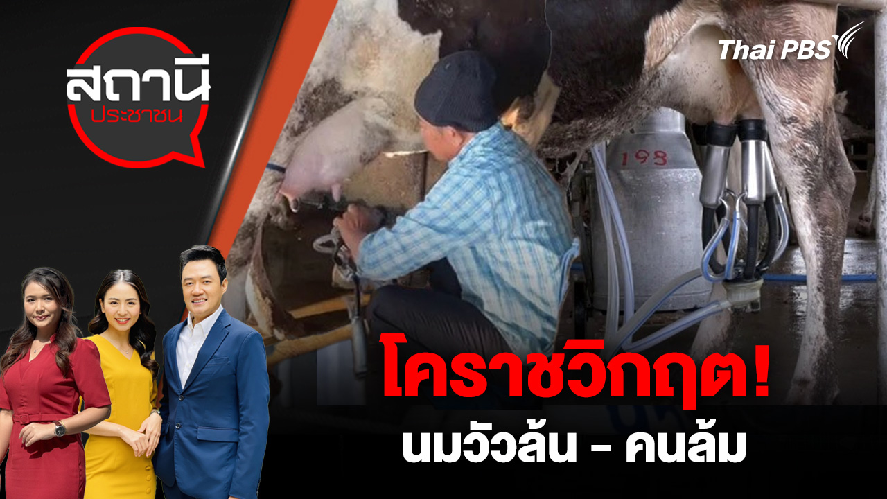 โคราชวิกฤต! นมวัวล้น - คนล้ม