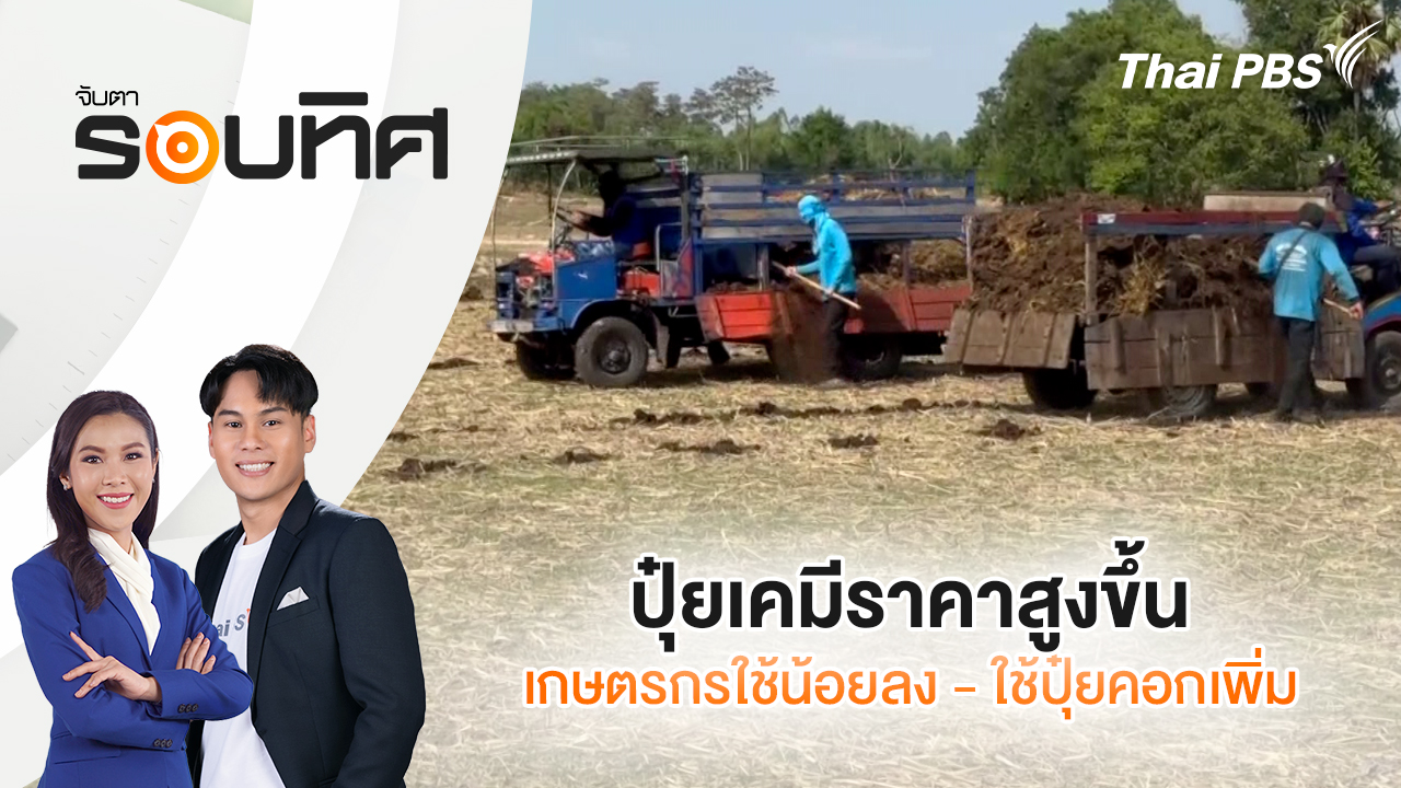 ปุ๋ยเคมีราคาสูงขึ้น เกษตรกรใช้น้อยลง - ใช้ปุ๋ยคอกเพิ่ม