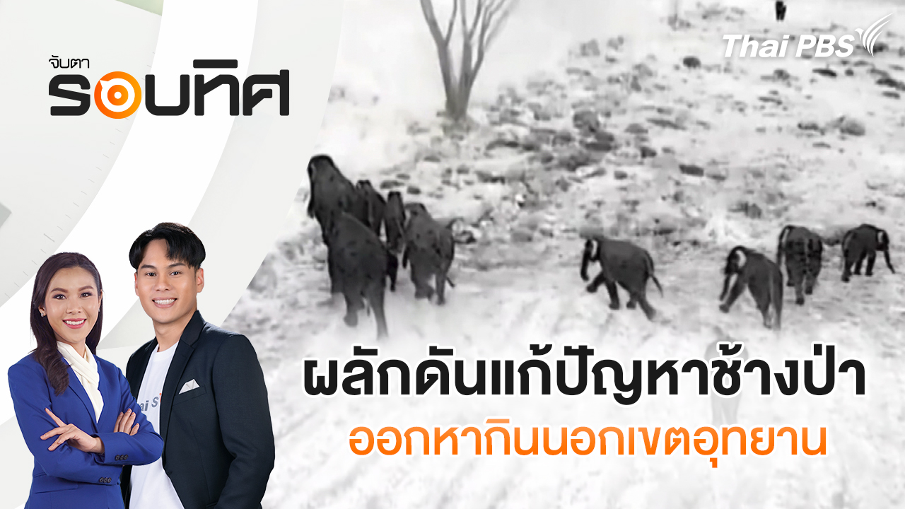 ผลักดันแก้ปัญหาช้างป่าออกหากินนอกเขตอุทยาน | จับตารอบทิศ | 2 มี.ค. 69