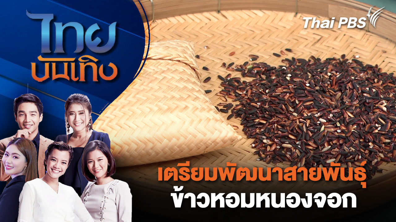 เตรียมพัฒนาสายพันธุ์ข้าวหอมหนองจอก | ไทยบันเทิง | 6 มี.ค. 69