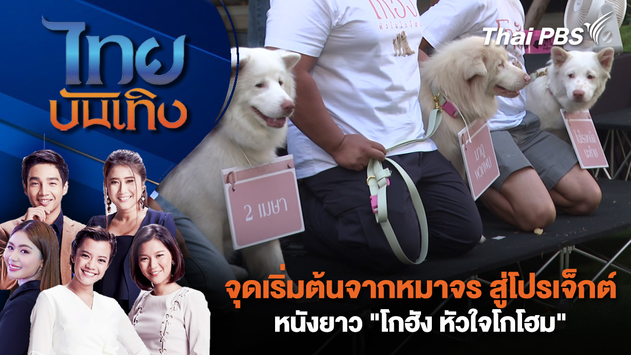  จุดเริ่มต้นจากหมาจร สู่โปรเจ็กต์หนังยาว "โกฮัง หัวใจโกโฮม"| ไทยบันเทิง | 11 มี.ค. 69