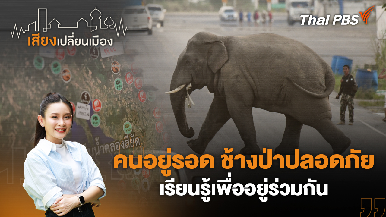 คนอยู่รอด ช้างป่าปลอดภัย เรียนรู้เพื่ออยู่ร่วมกัน