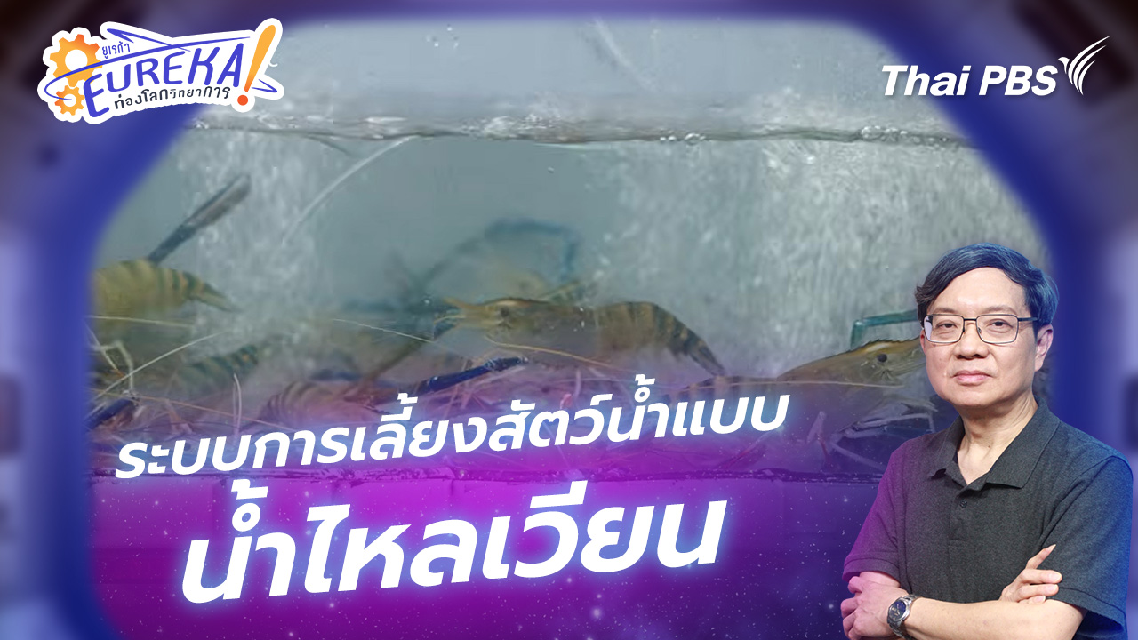 ระบบการเลี้ยงสัตว์น้ำแบบน้ำไหลเวียน