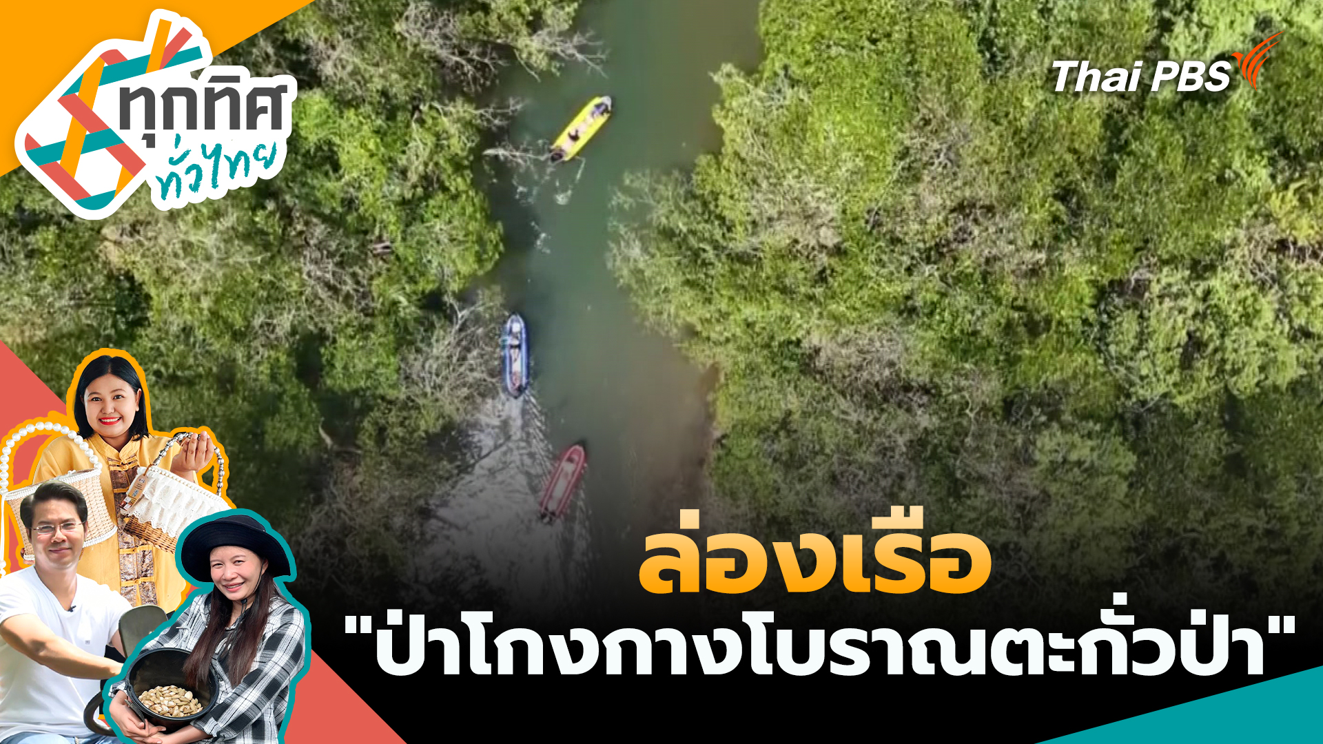 ล่องเรือ "ป่าโกงกางโบราณตะกั่วป่า"