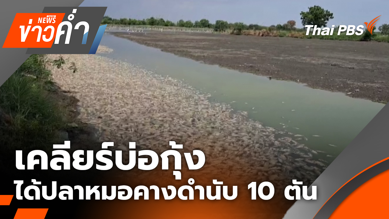 เคลียร์บ่อกุ้ง ได้ปลาหมอคางดำนับ 10 ตัน