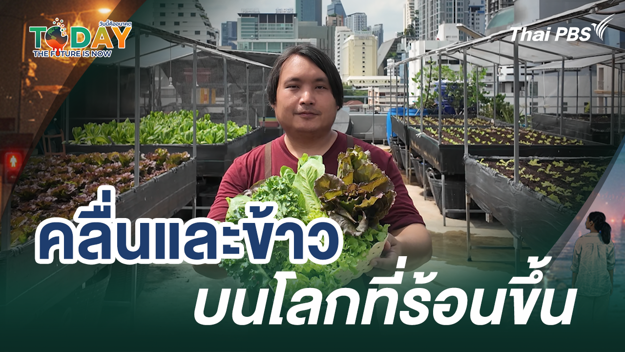 คลื่นและข้าว บนโลกที่ร้อนขึ้น