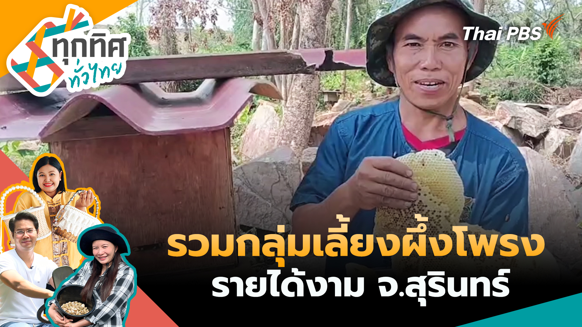 รวมกลุ่มเลี้ยงผึ้งโพรงรายได้งาม จ.สุรินทร์