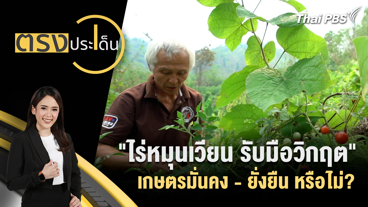 "ไร่หมุนเวียน รับมือวิกฤต" เกษตรมั่นคง - ยั่งยืน หรือไม่?