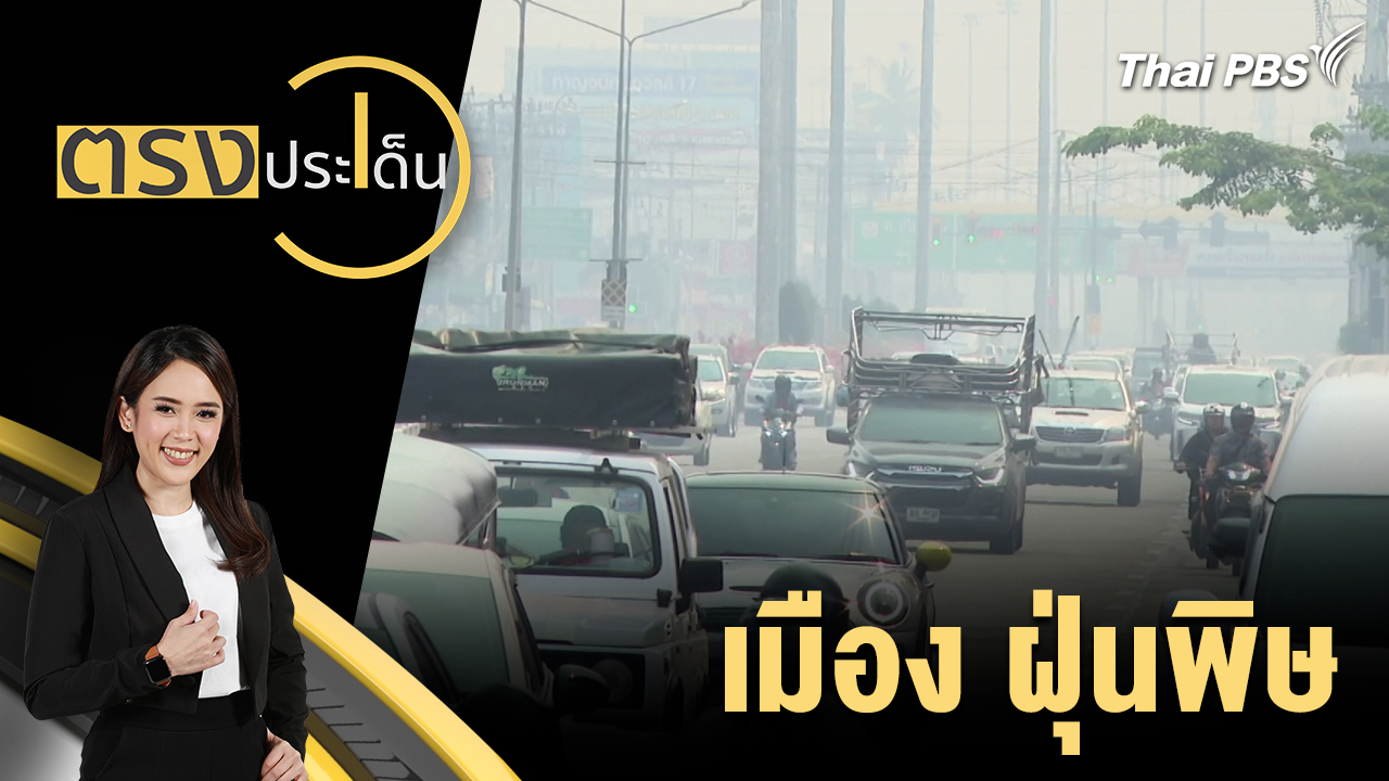 เมือง ฝุ่นพิษ