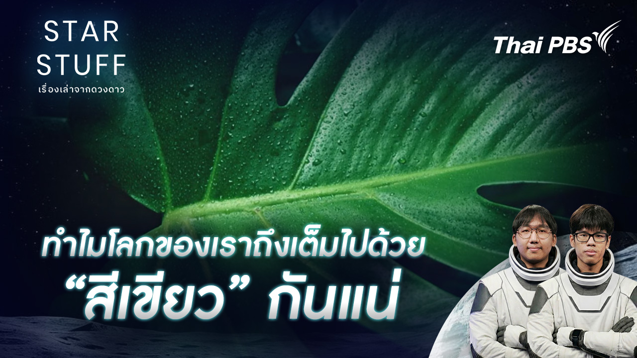 ทำไมโลกของเราถึงเต็มไปด้วย “สีเขียว” กันแน่
