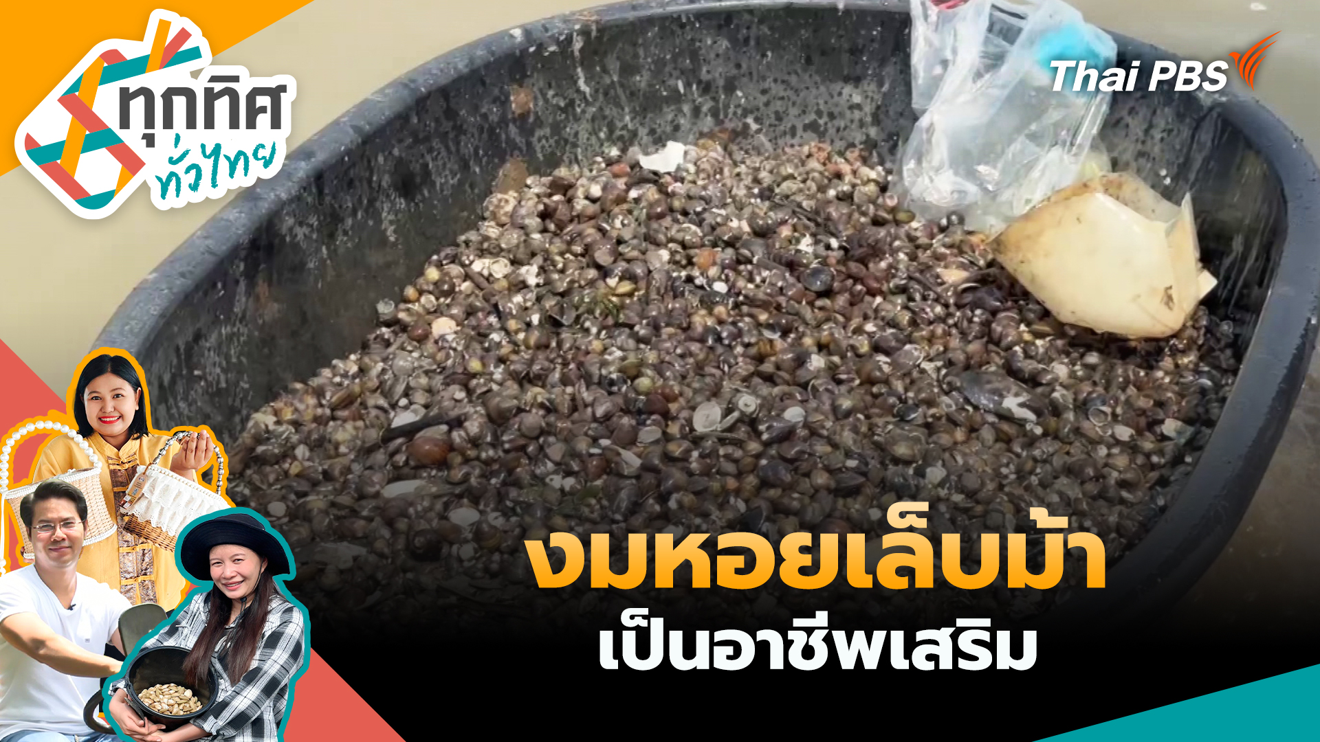 งมหอยเล็บม้าเป็นอาชีพเสริม
