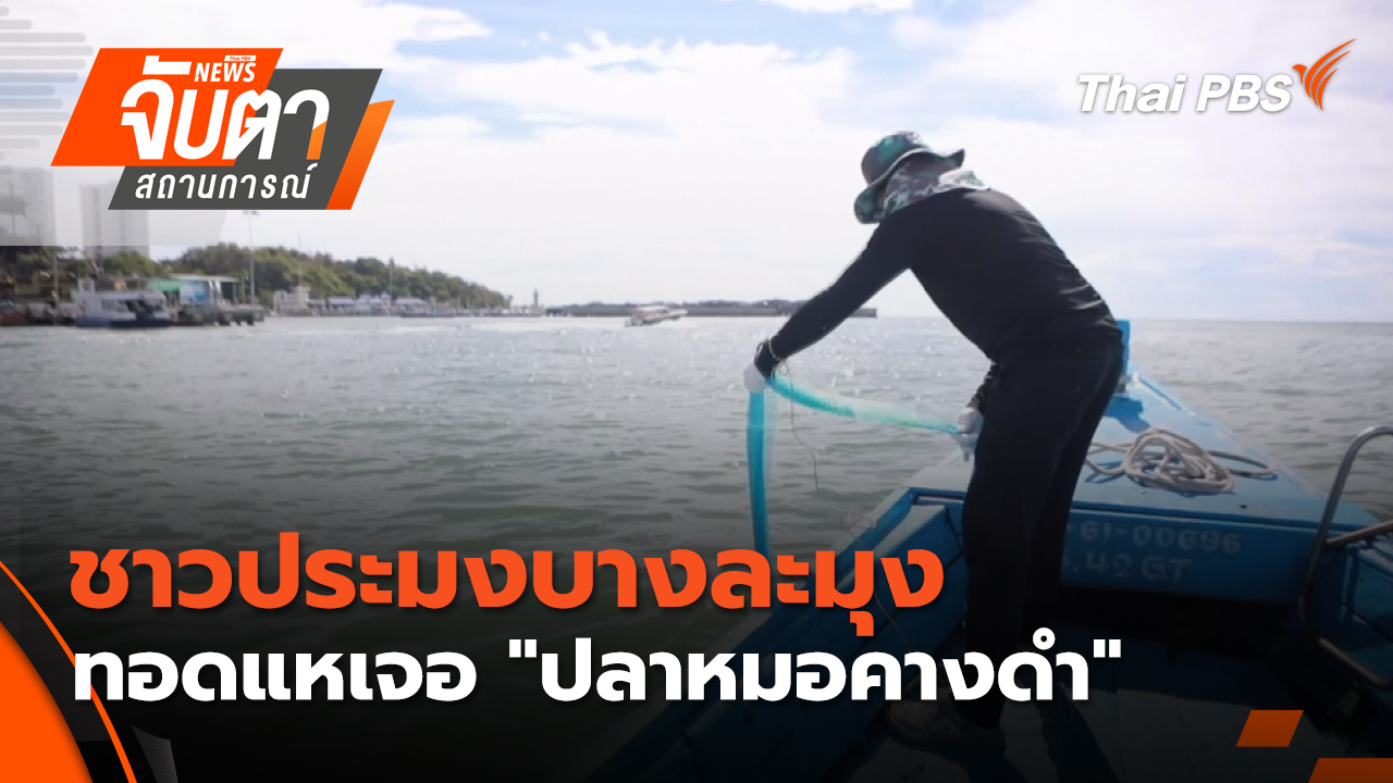 ชาวประมงบางละมุง ทอดแหเจอ "ปลาหมอคางดำ"...