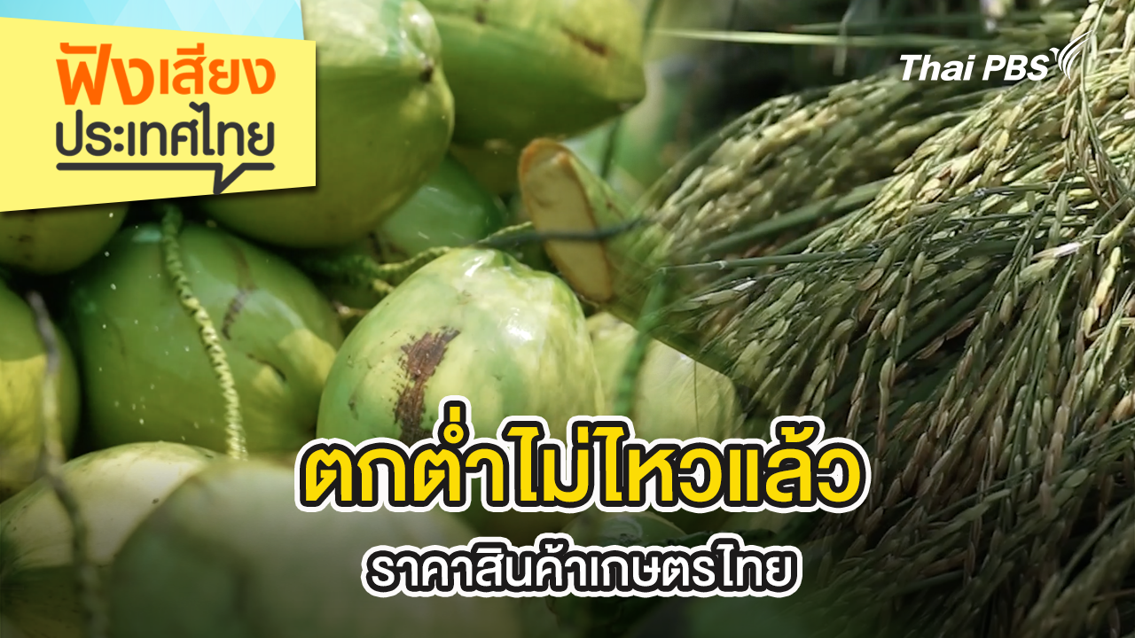 ตกต่ำไม่ไหวแล้ว ราคาสินค้าเกษตรไทย
