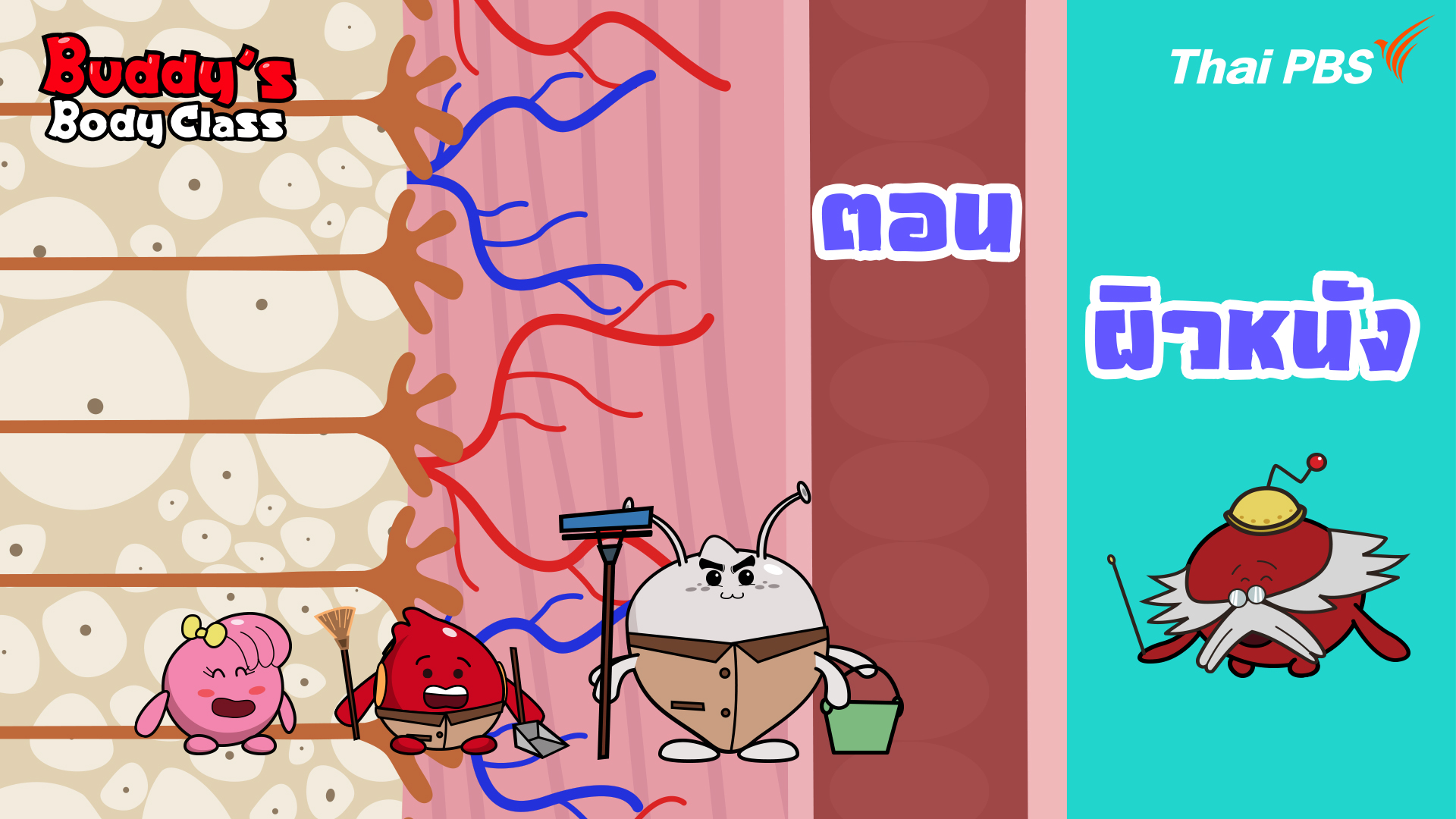 ผิวหนัง