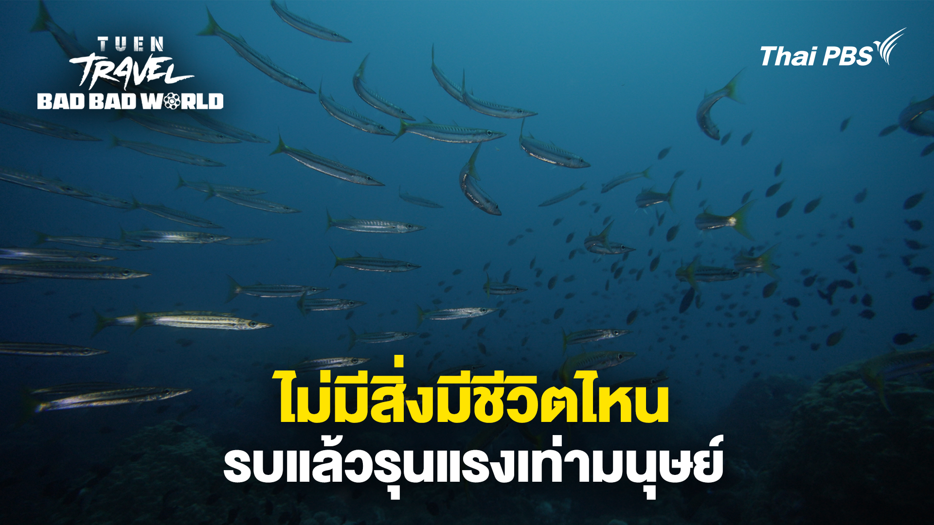 ไม่มีสิ่งมีชีวิตไหน รบแล้วรุนแรงเท่ามนุษย์