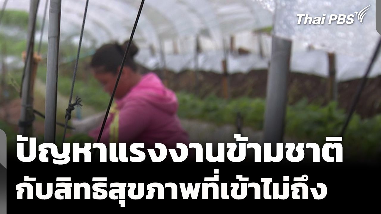 ปัญหาแรงงานข้ามชาติกับสิทธิสุขภาพที่เข้าไม่ถึง