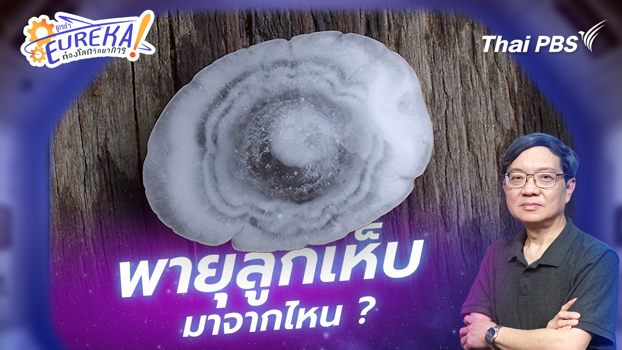 พายุลูกเห็บ มาจากไหน ?
