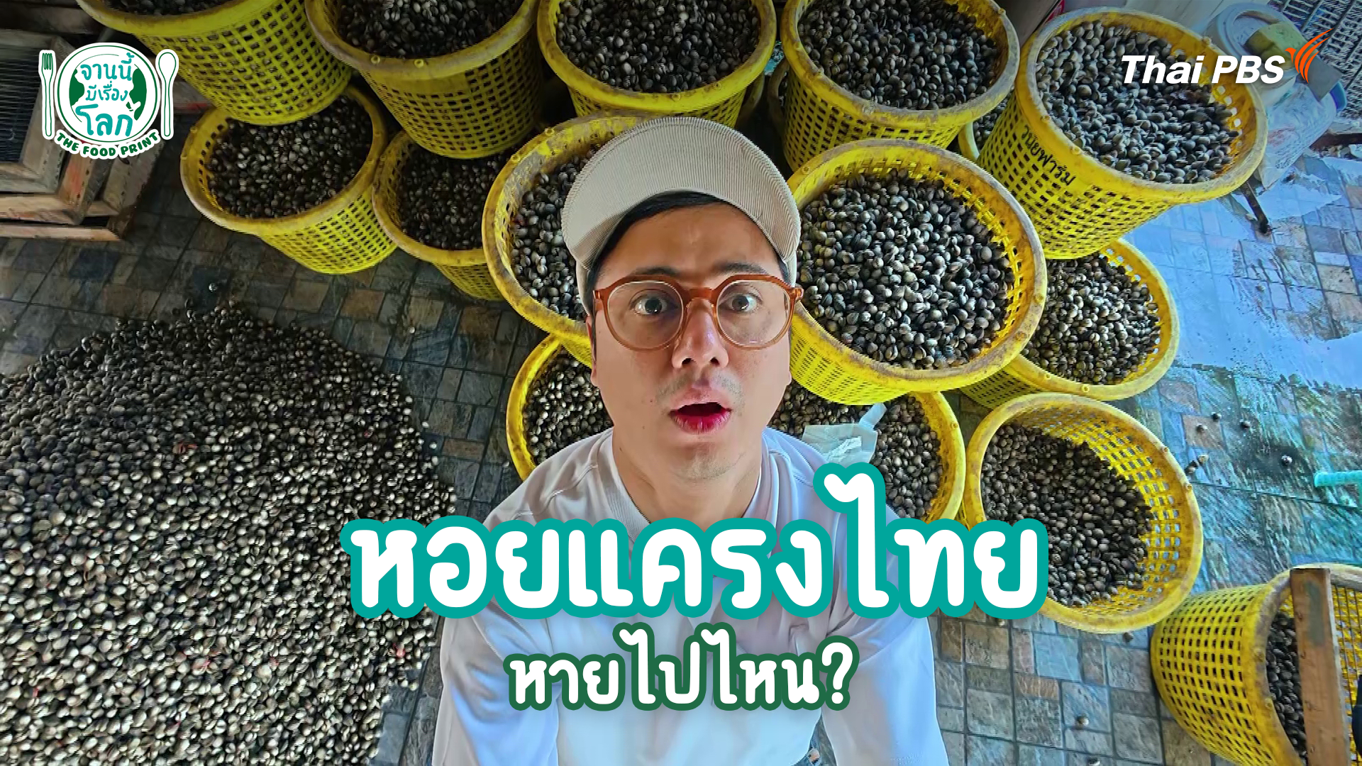 หอยแครงไทยหายไปไหน?