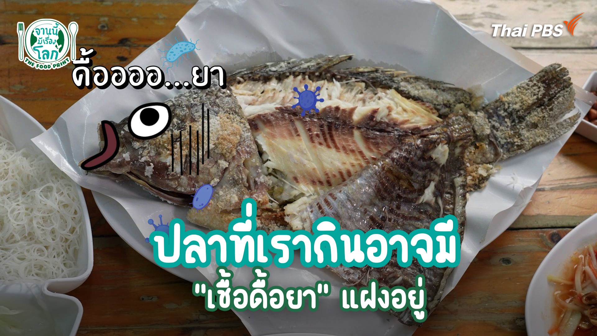 ปลาที่เรากินอาจมี "เชื้อดื้อยา" แฝงอยู่