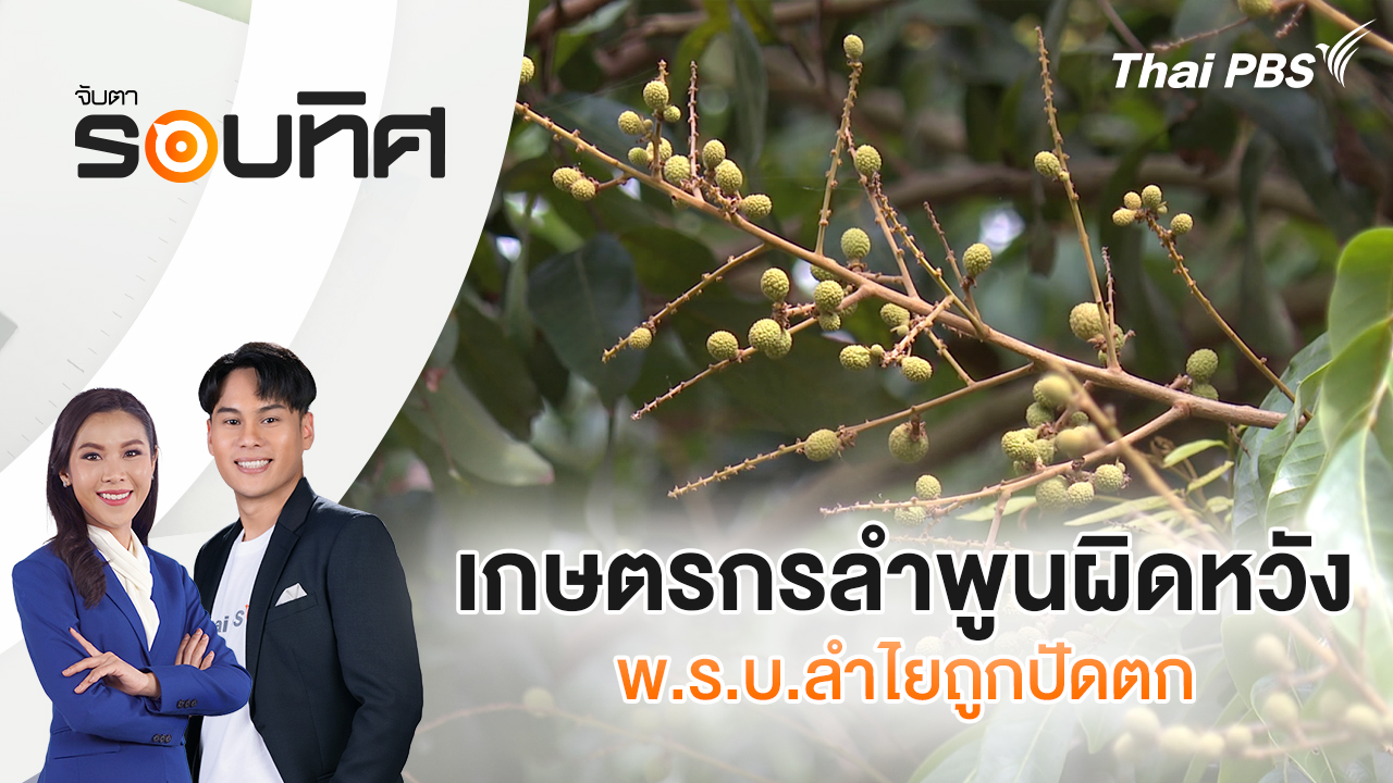 เกษตรกรลำพูนผิดหวัง พ.ร.บ.ลำไยถูกปัดตก
