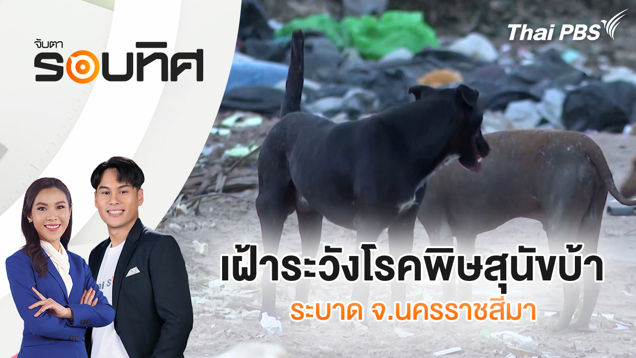 เฝ้าระวังโรคพิษสุนัขบ้าระบาด จ.นครราชสีมา