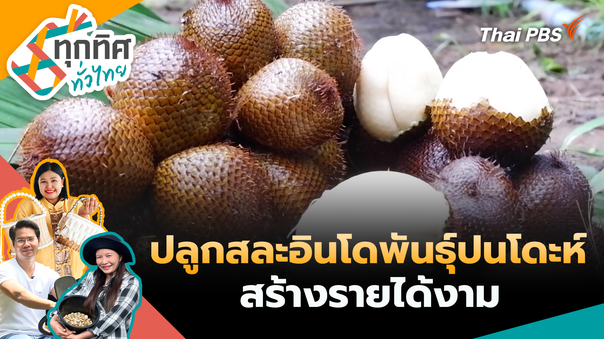 ปลูกสละอินโดพันธุ์ปนโดะห์สร้างรายได้งาม